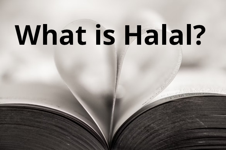 Halal vs Haram in Islam 