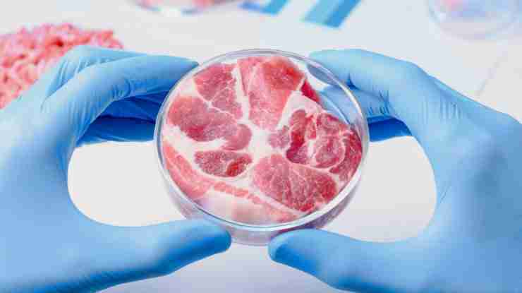 Is Lab Grown Meat Halal